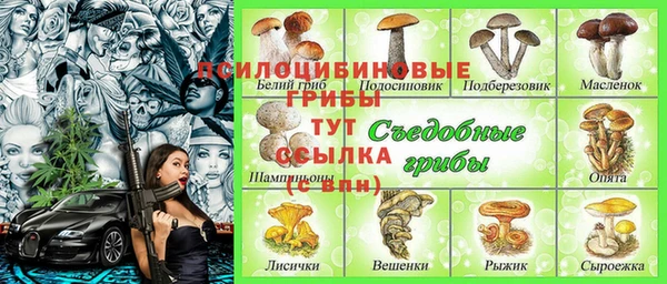 2c-b Арсеньев