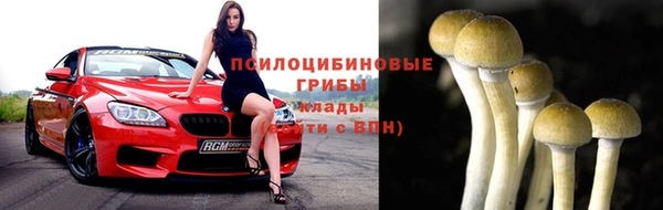 2c-b Арсеньев