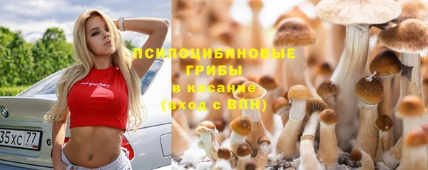 MDMA Premium VHQ Армянск