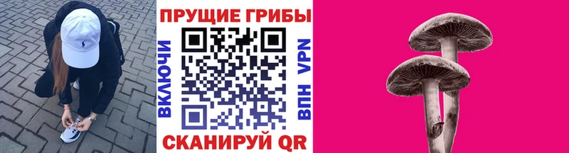купить Порхов OMG зеркало Псилоцибиновые грибы ЛСД